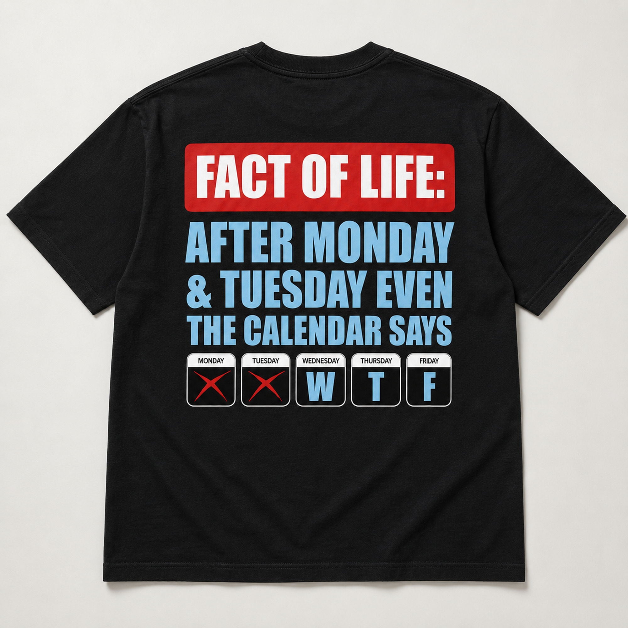 Fact Of Life Calendar funny back print graphic tee black flat lay