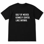 Gulf of Mexico Kennedy Center Lake Ontario political satire black graphic tee front-print flat lay