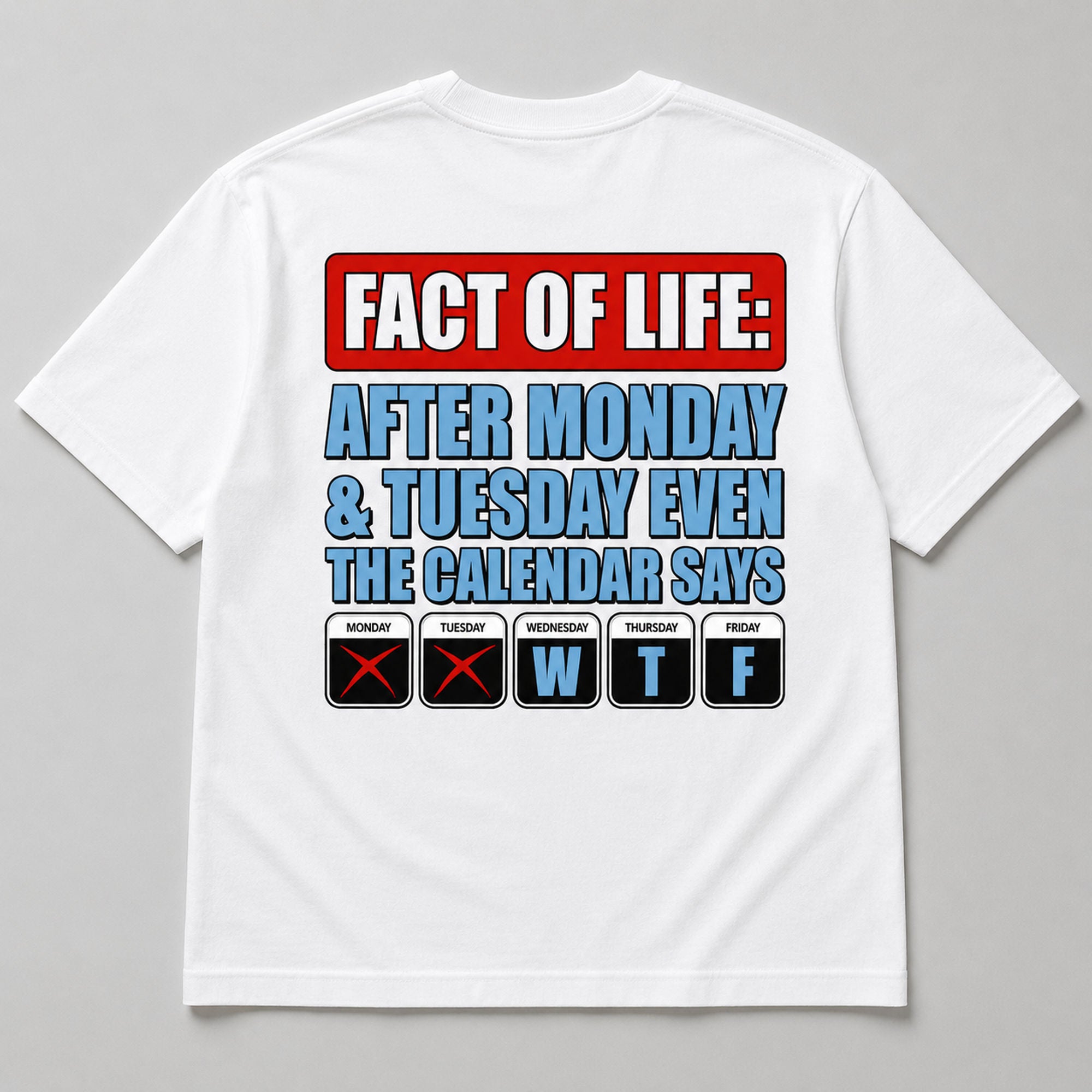 Fact Of Life Calendar funny back print graphic tee white flat lay
